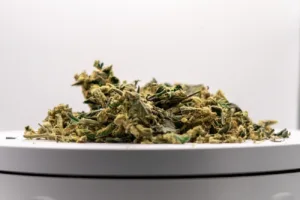 close up of marijuana on a white pot on a white ba 2023 11 27 05 26 25 utc